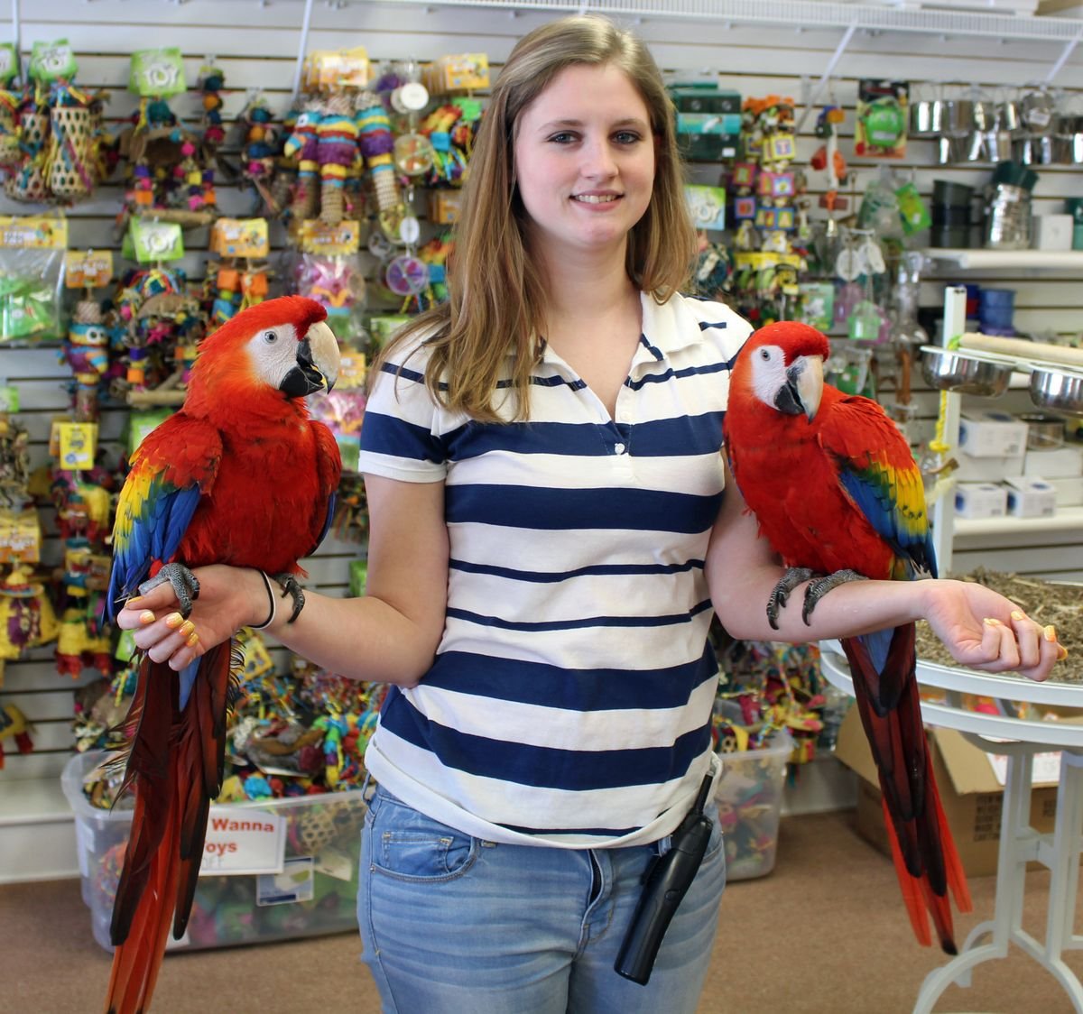 Global parrot conservation and avian veterinary care